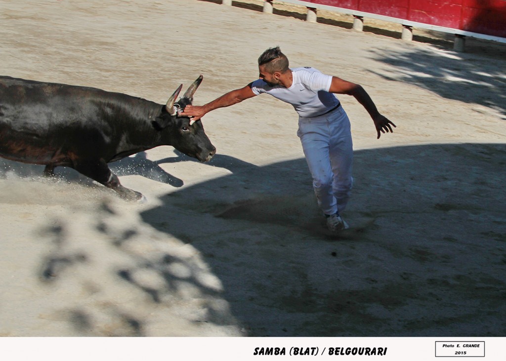 00_samba(blat)_2
