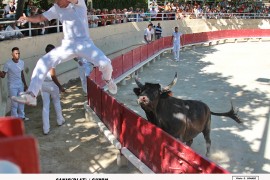01_canio(blat)_4