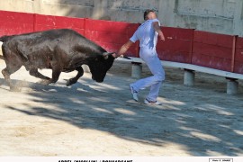 04_abel(nicollin)_3