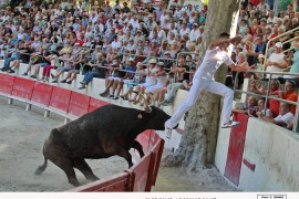 05_clodomir (bon)__bouhargane_1
