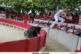 07_bayle(vinuesa)_rassir_1_1