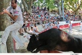 07_chambao (bon)_aliaga