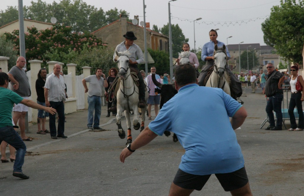 00_bandido_gallician