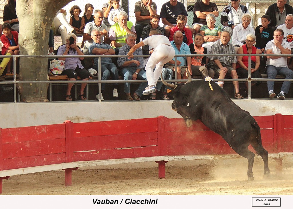 00_vauban (paulin)_ciacchini__2