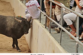 02_canio (blat)abbal_1