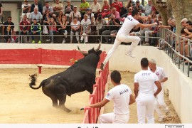 04_canio (blat)_dunan_1