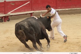 05_dilun(vinuesa)_allam_1_1