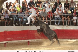 08_vauban (paulin)_ciacchini__6