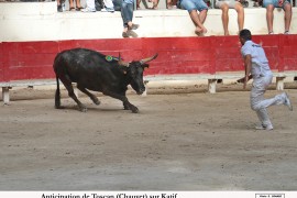 09_toscan (chauvet)_bruschet