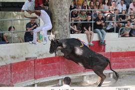 10_absolut (ricard)_katif (2)