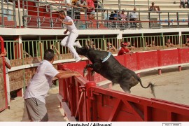 02_gaste boi (guillerme)_allouani_3