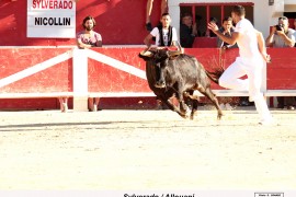 05_sylverado (nicollin)_allouani001