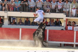 06_ulysse (rouquette)_aliaga_3_1