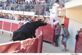 08_ulmet (jc blanc)_allouani_2_1