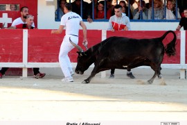 09_ratis (raynaud)_allouani_3_1