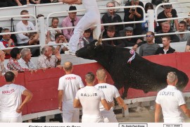 03_boer (occitane)_benafitou_2