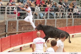 05_vauban (paulin)_jourdan_1