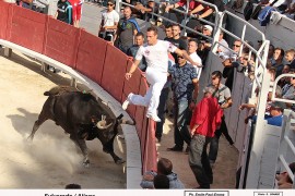 07_sylverado (nicollin)_aliaga