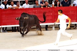 08_sylverado (nicollin)_benafitou  i_2