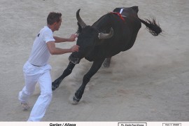 11_garlan (beaumelles)_aliaga E