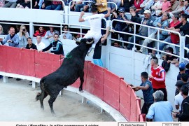 15_greco (st antoine)_benafitou i_2