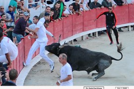 19_greco (st antoine)_allouani action_07