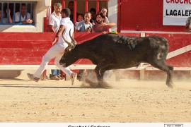 04_cruchot (lagalere)_cadenas_le_grau_20 09 2015