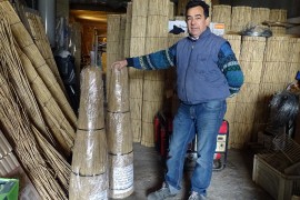 04_andre_calba