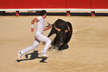 course camarguaise