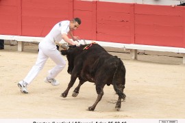 03_baryton(lautier)_allouani