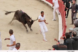 04_banaru(le rhone)_zekraoui_1