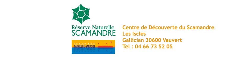 Logo Scamandre_11 copie