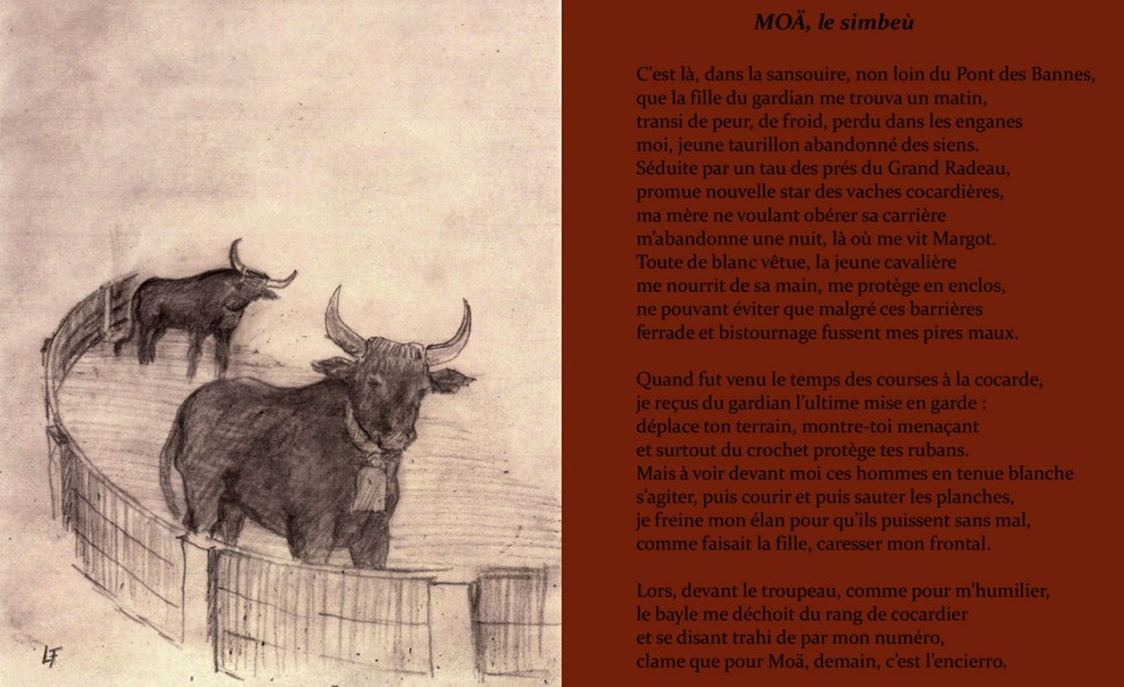 moa_le simbeu