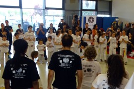 02_capoeira