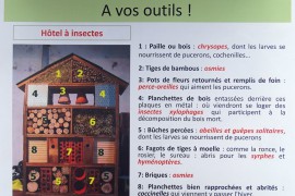 02_hotel_a_insectes