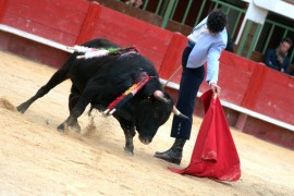 Le novillero Tomas Ubeda Ganaderia El Campo Virgile Alexandre