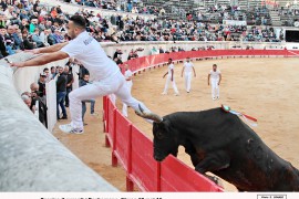 05_cassius (laurent)_bouhargane_1