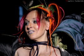modele 14 (03)
