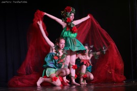 modele 18 (04)