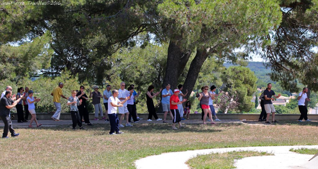 Tai-Chi-Chuan (02)