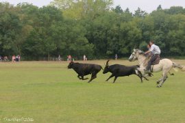 Abrivado-(06) (1)
