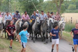 Abrivado-(10)