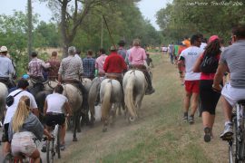 Abrivado-(12) (1)