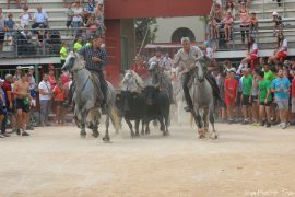 Abrivado-(22)