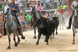 Abrivado-(23)