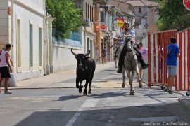 abrivado18-(07)