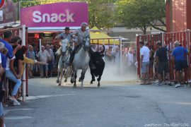 bandido-(01) (1)
