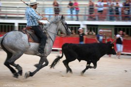 bandido-(01b)