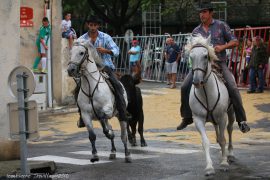bandido20-(01)