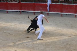 course-stag-(02)